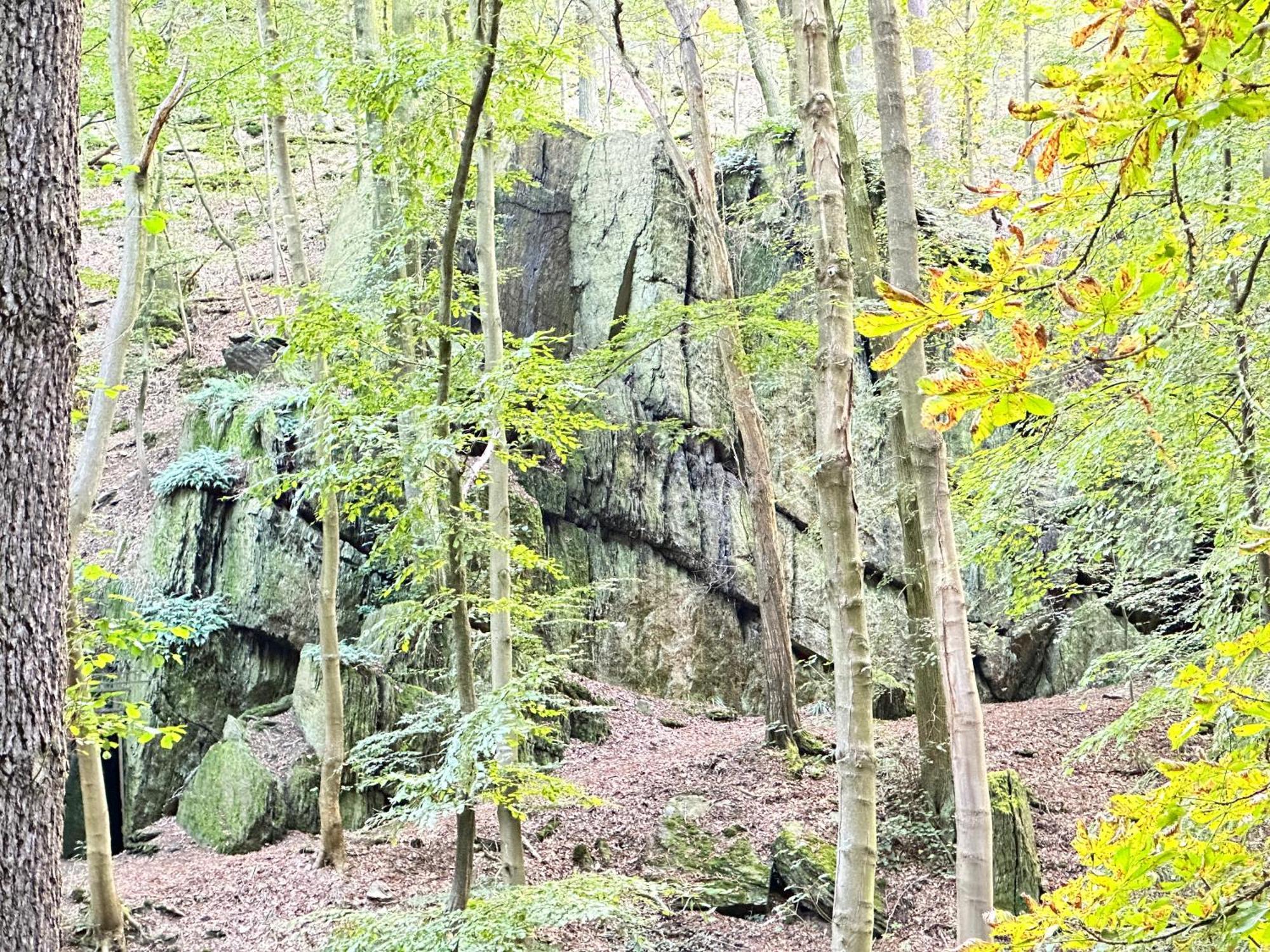 Apartamento Burgblick Bad Blankenburg