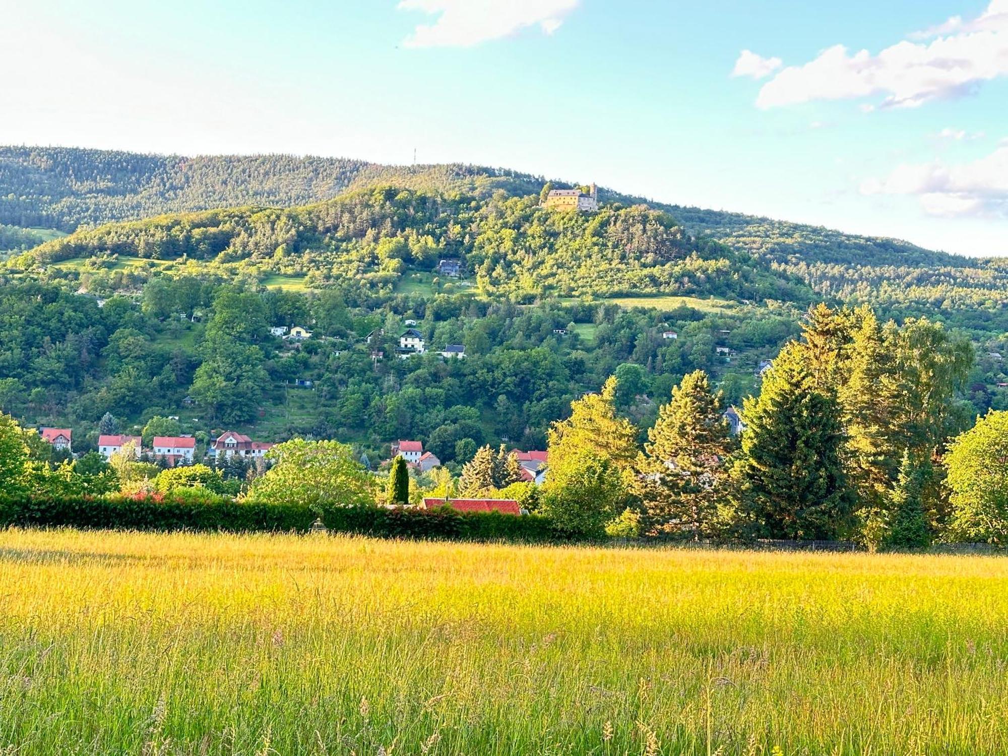 Apartment Burgblick
